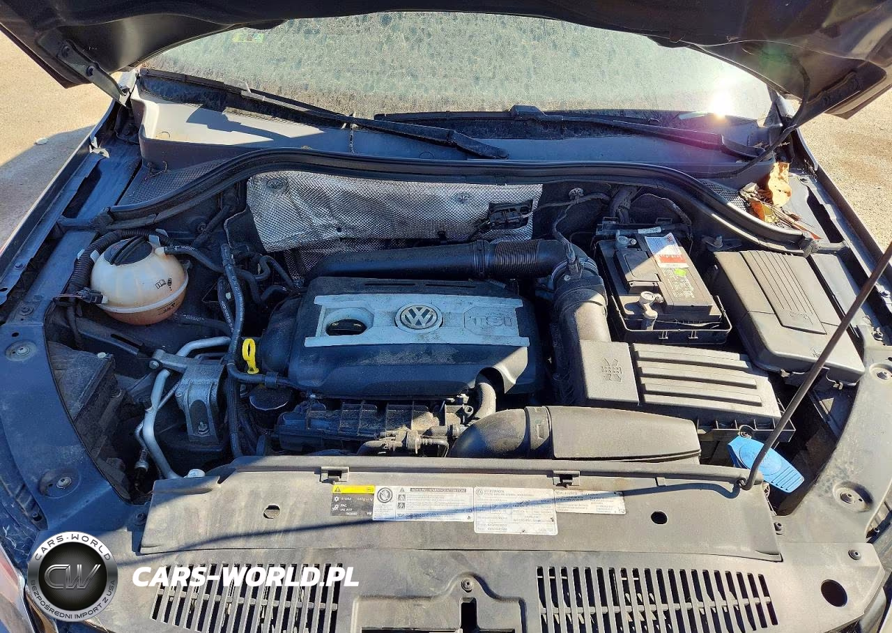 2016 Volkswagen Tiguan S VIN:WVGAV7AX5GW516853 - 12