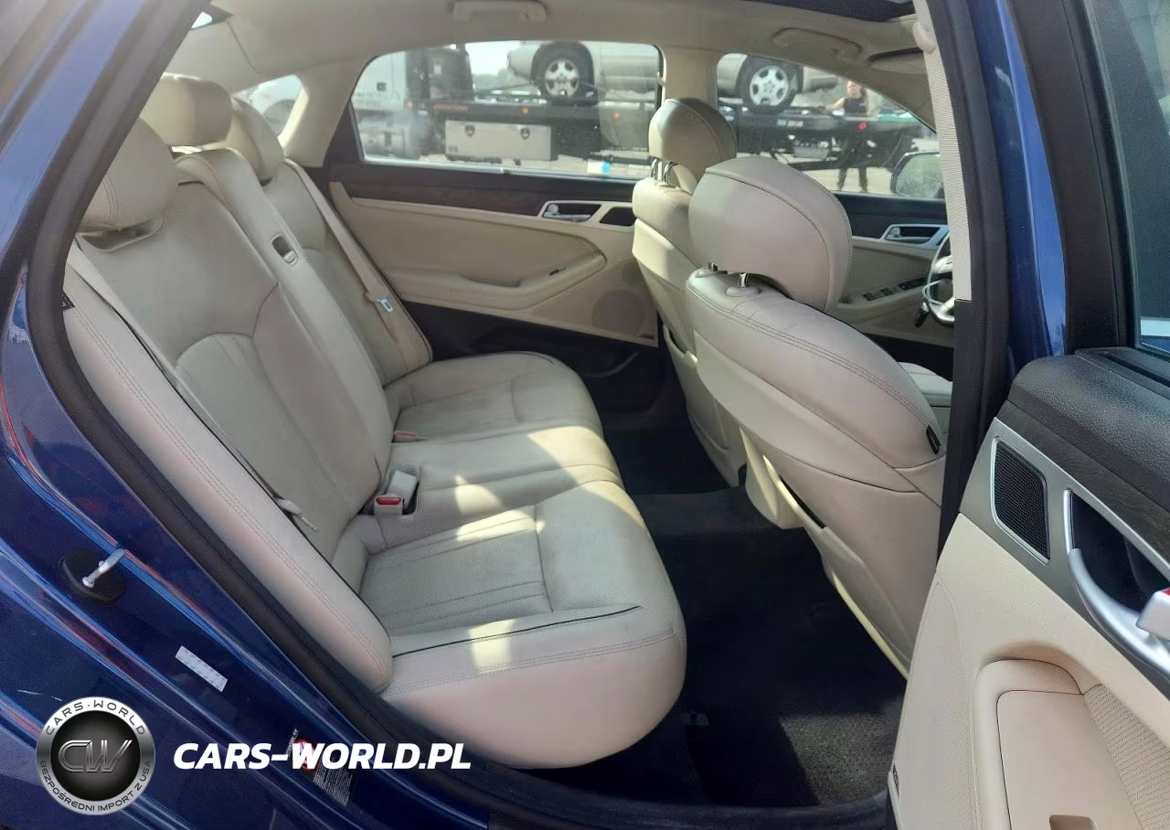 2015 Hyundai Genesis 3.8L VIN:KMHGN4JE2FU101829 - 10
