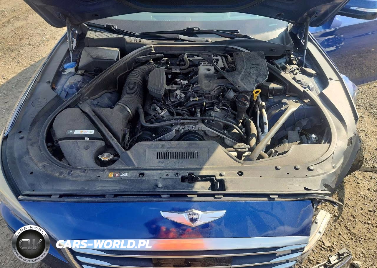 2015 Hyundai Genesis 3.8L VIN:KMHGN4JE2FU101829 - 11