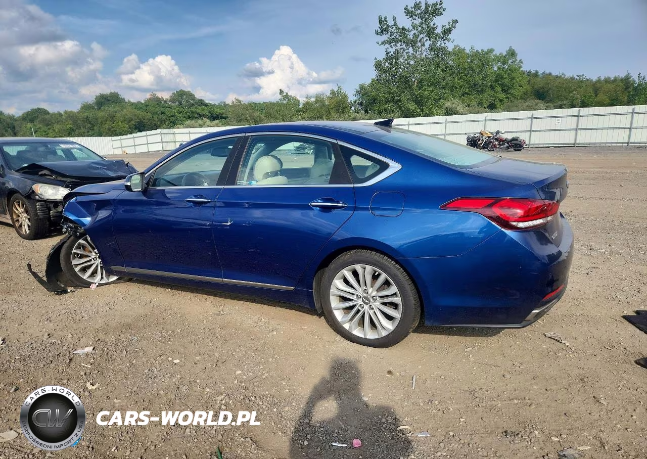 2015 Hyundai Genesis 3.8L VIN:KMHGN4JE2FU101829 - 2