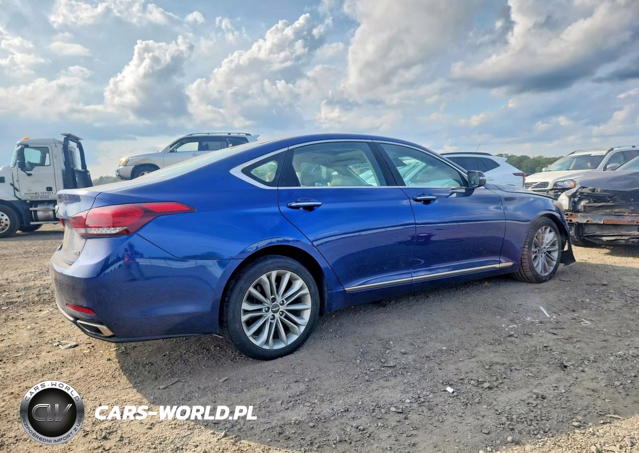 2015 Hyundai Genesis 3.8L VIN:KMHGN4JE2FU101829 - 3