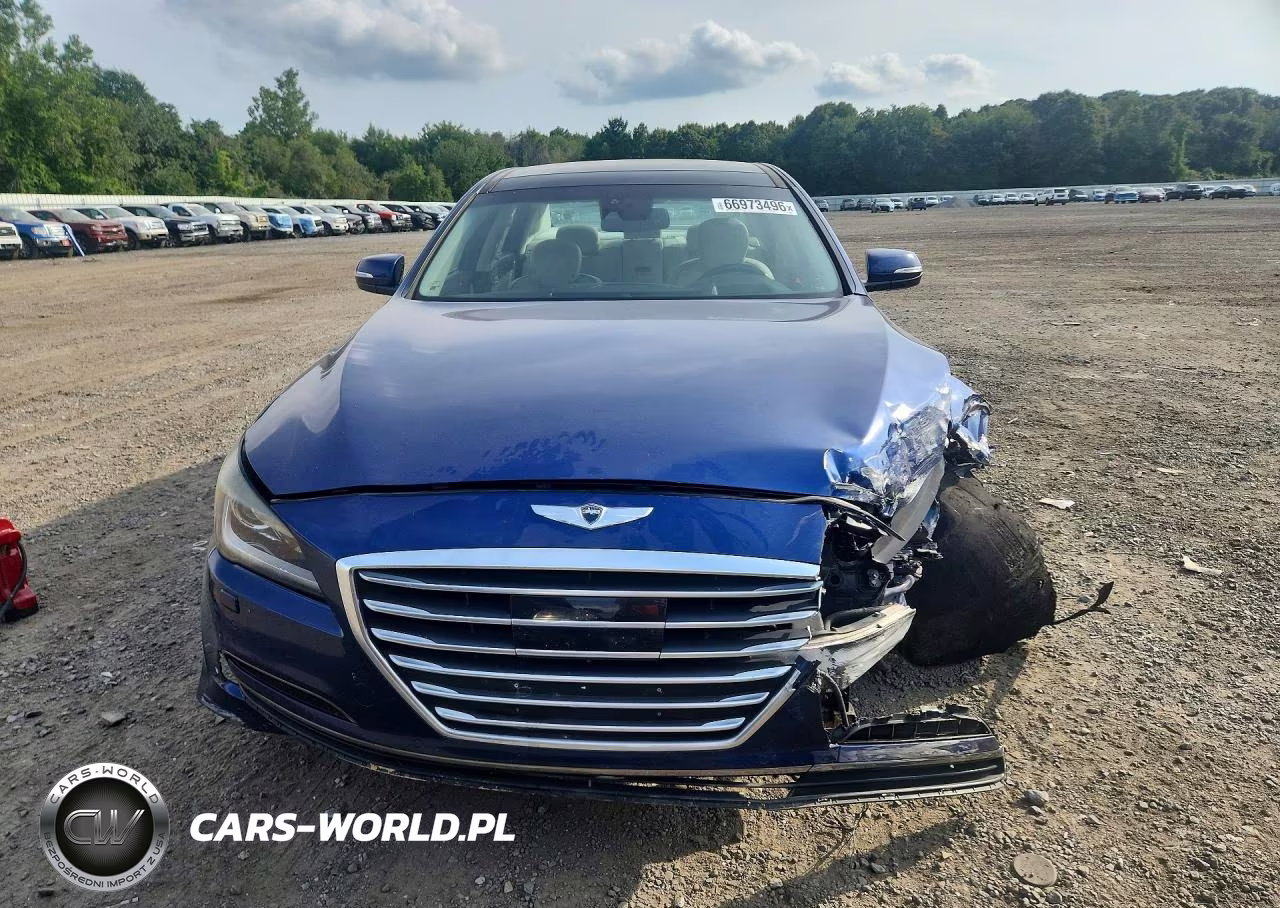 2015 Hyundai Genesis 3.8L VIN:KMHGN4JE2FU101829 - 5