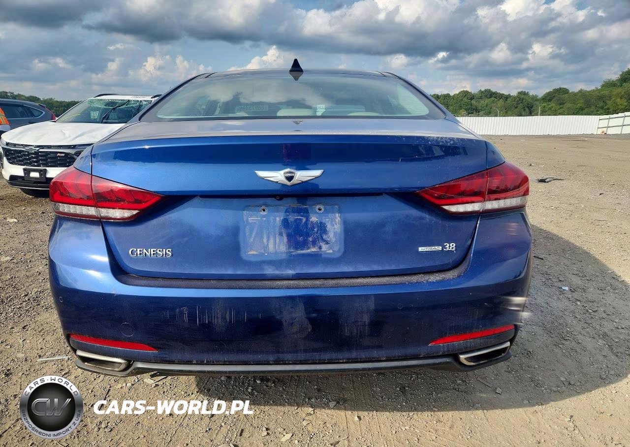 2015 Hyundai Genesis 3.8L VIN:KMHGN4JE2FU101829 - 6