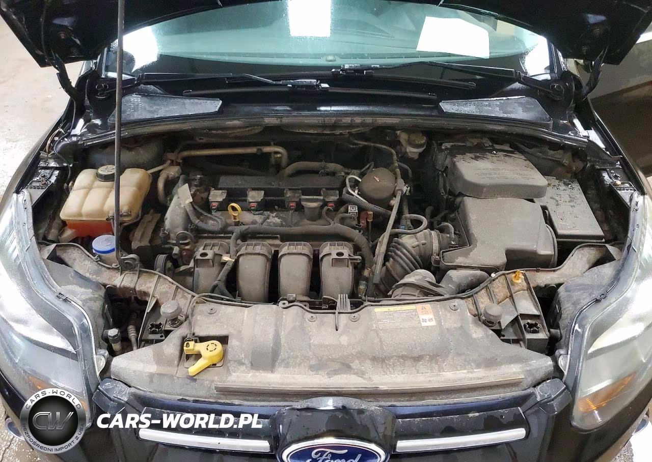 2013 Ford Focus Titanium VIN:1FADP3N24DL304015 - 11