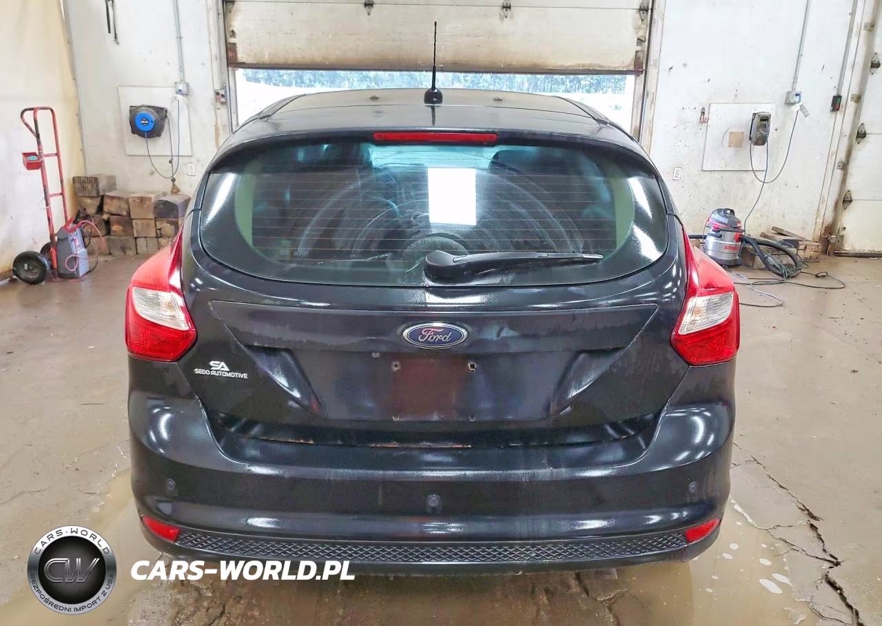 2013 Ford Focus Titanium VIN:1FADP3N24DL304015 - 6