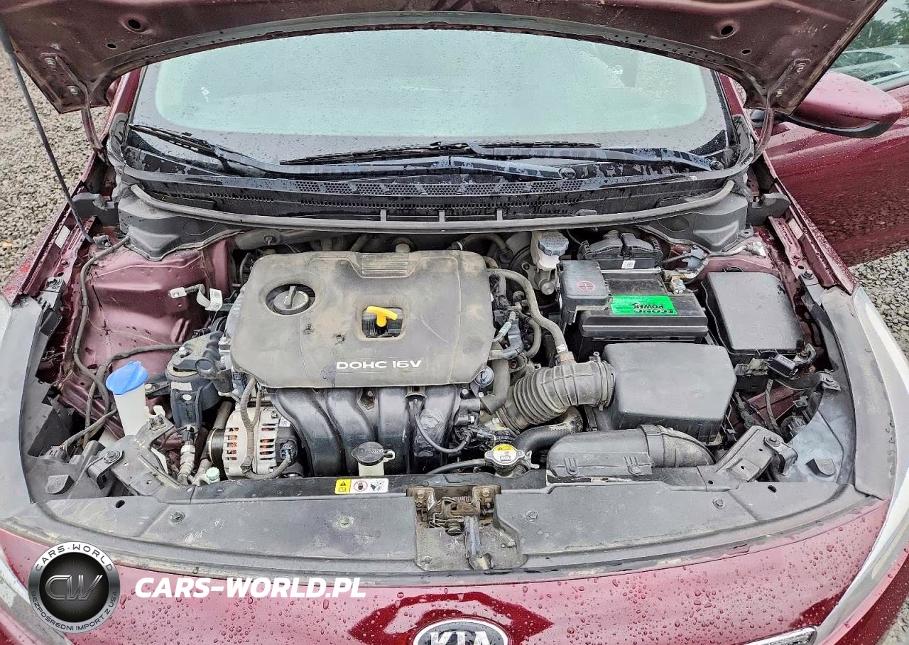 2017 Kia Forte Lx VIN:3KPFK4A75HE031867 - 11
