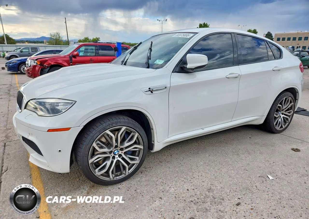 2013 BMW X6 M VIN:5YMGZ0C52DLL29869 - 1