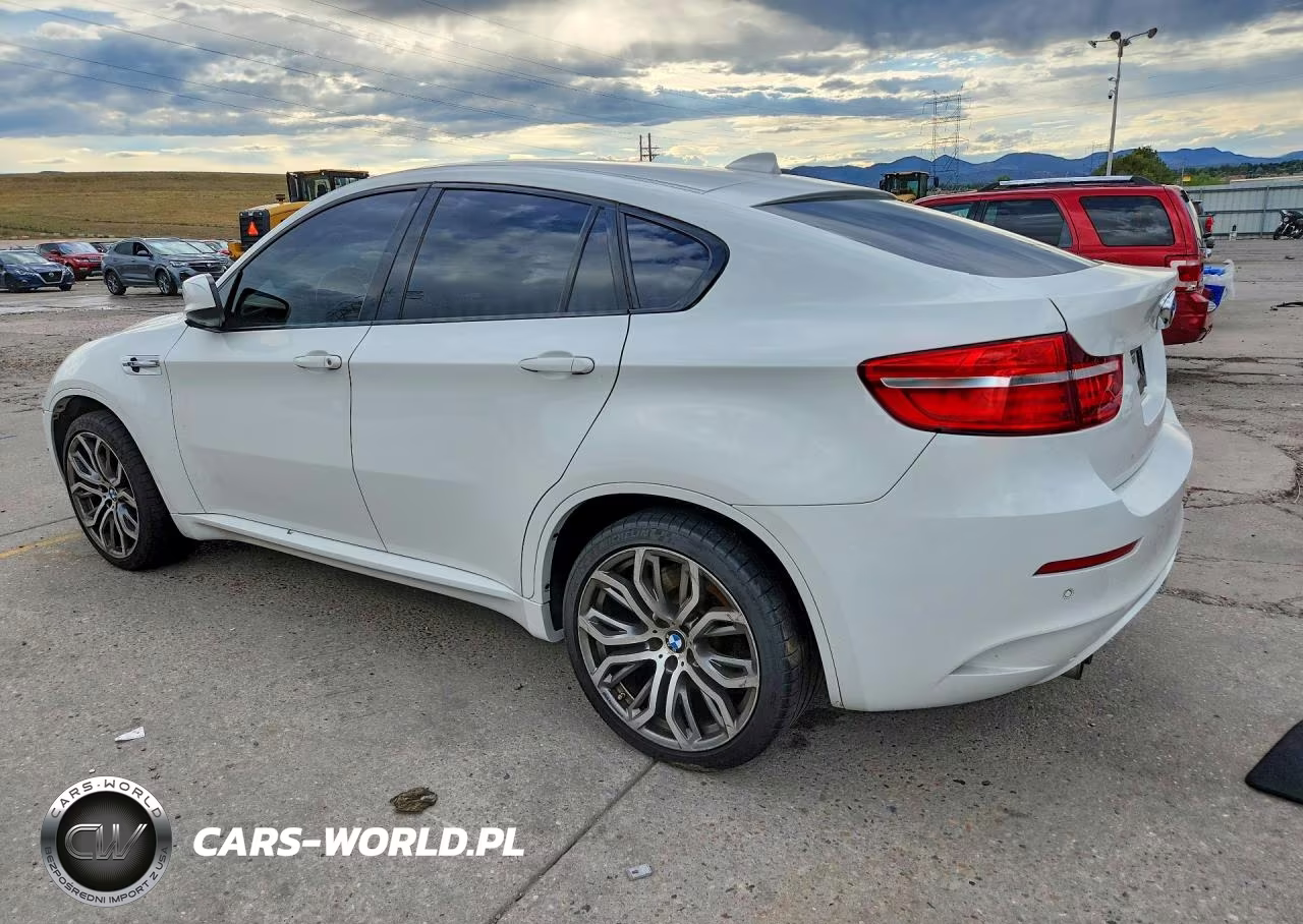 2013 BMW X6 M VIN:5YMGZ0C52DLL29869 - 2
