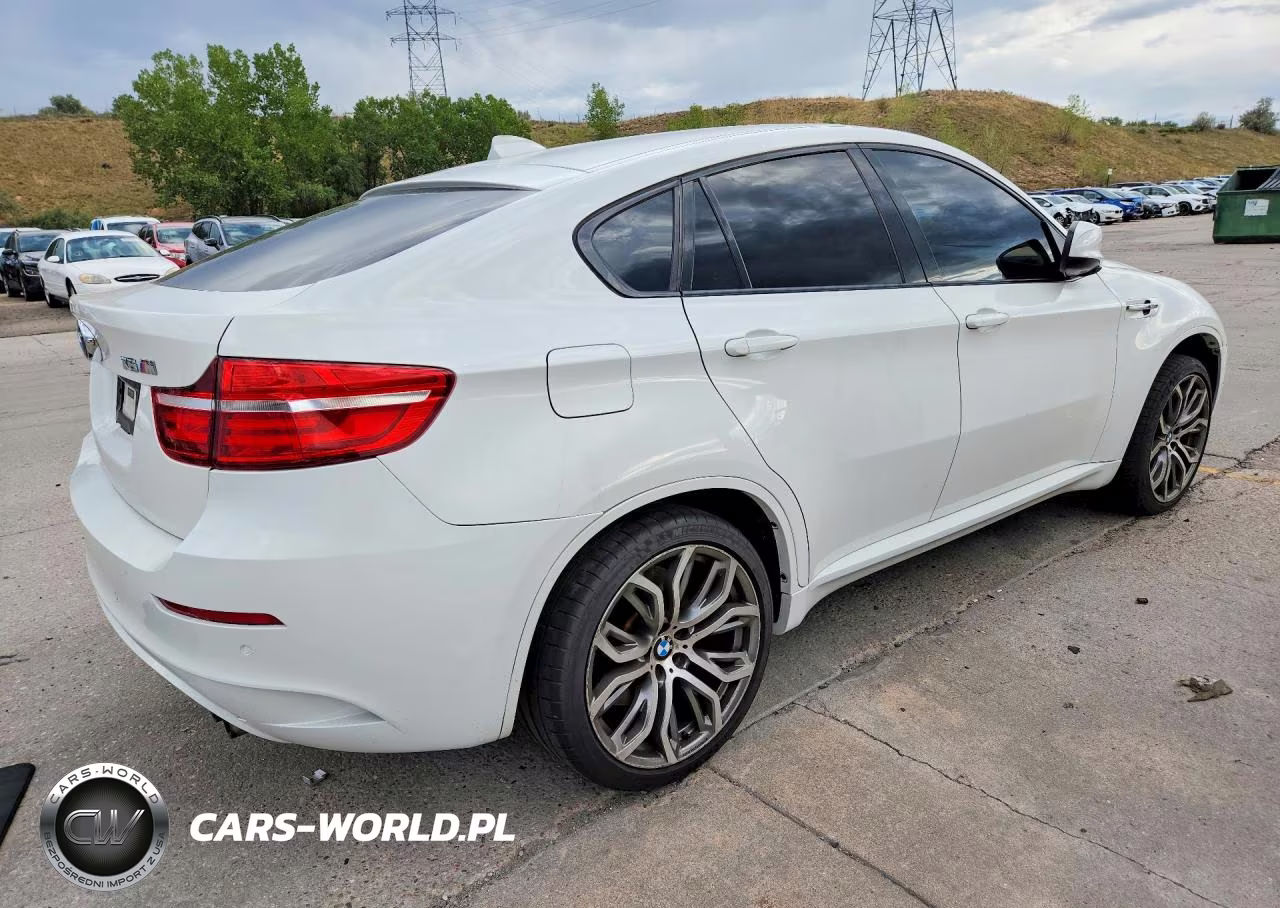 2013 BMW X6 M VIN:5YMGZ0C52DLL29869 - 3