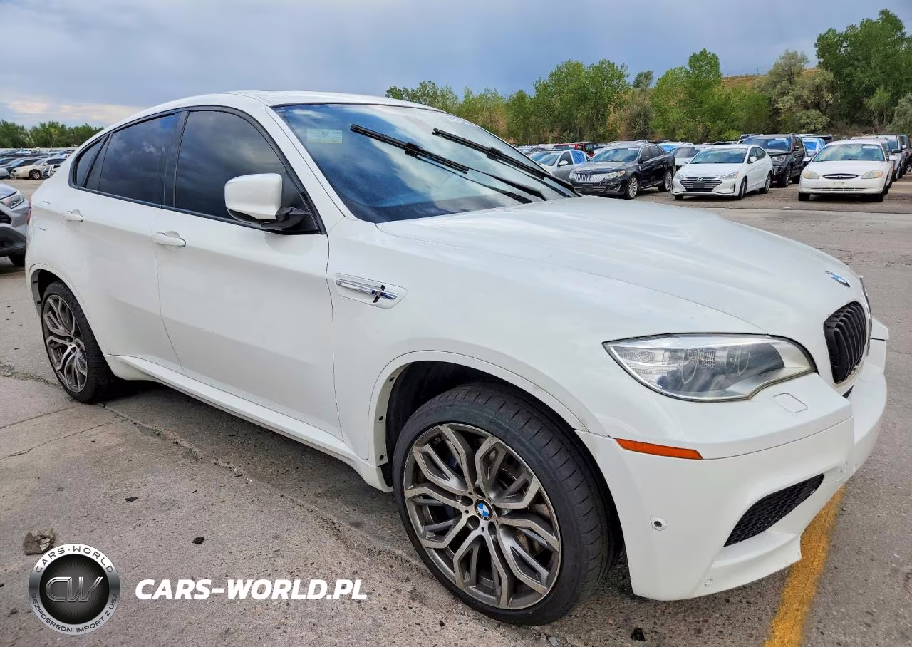 2013 BMW X6 M VIN:5YMGZ0C52DLL29869 - 4