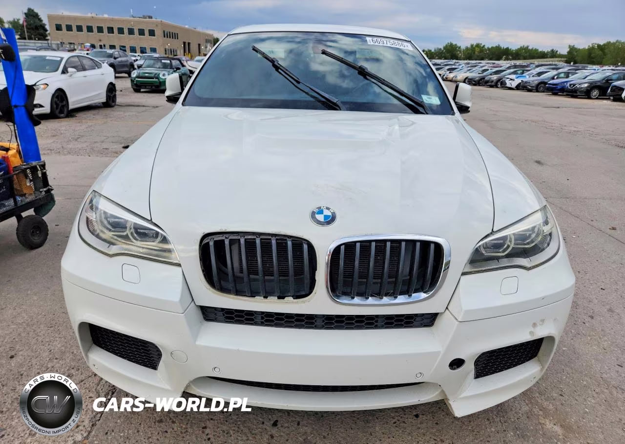 2013 BMW X6 M VIN:5YMGZ0C52DLL29869 - 5