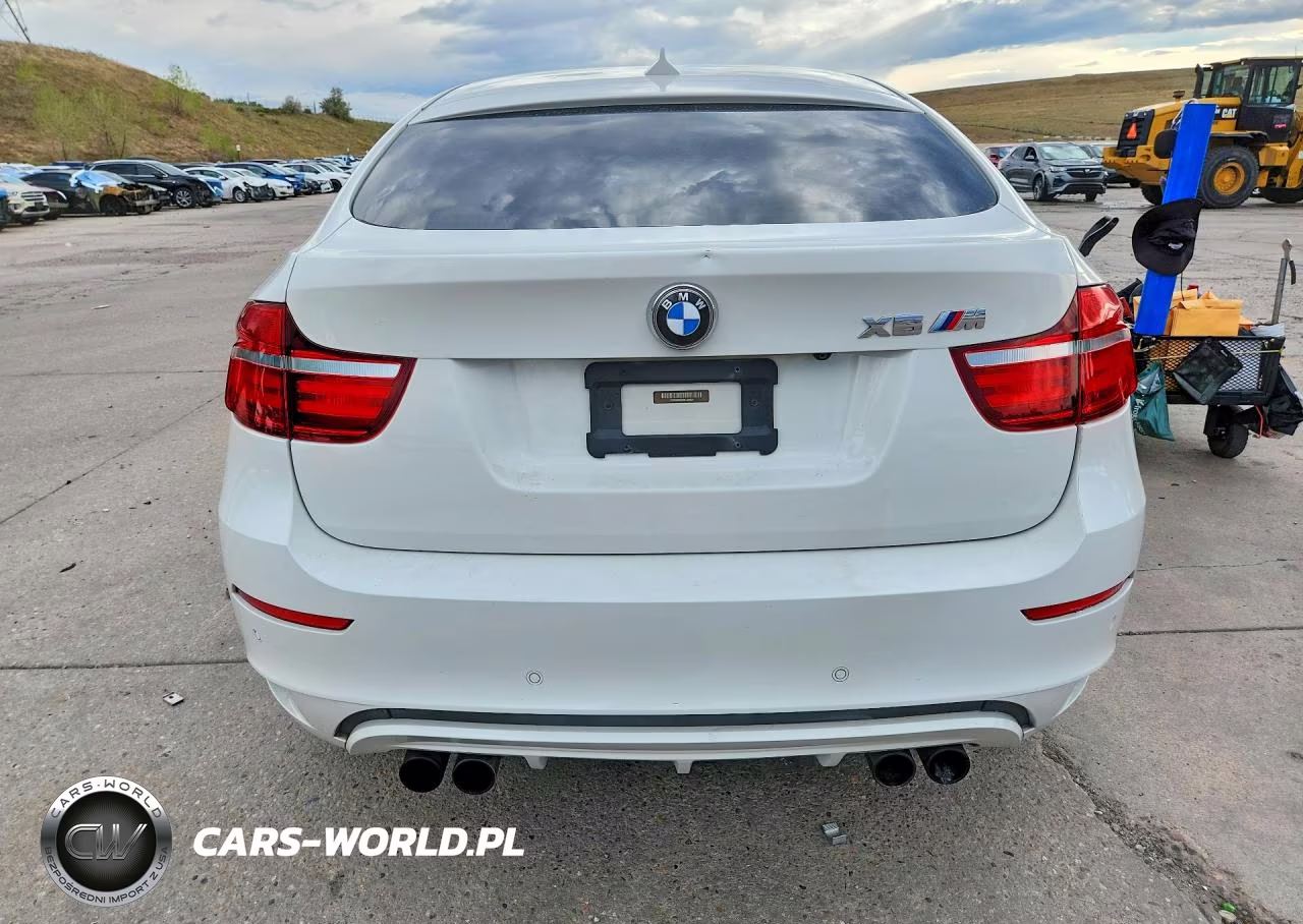 2013 BMW X6 M VIN:5YMGZ0C52DLL29869 - 6