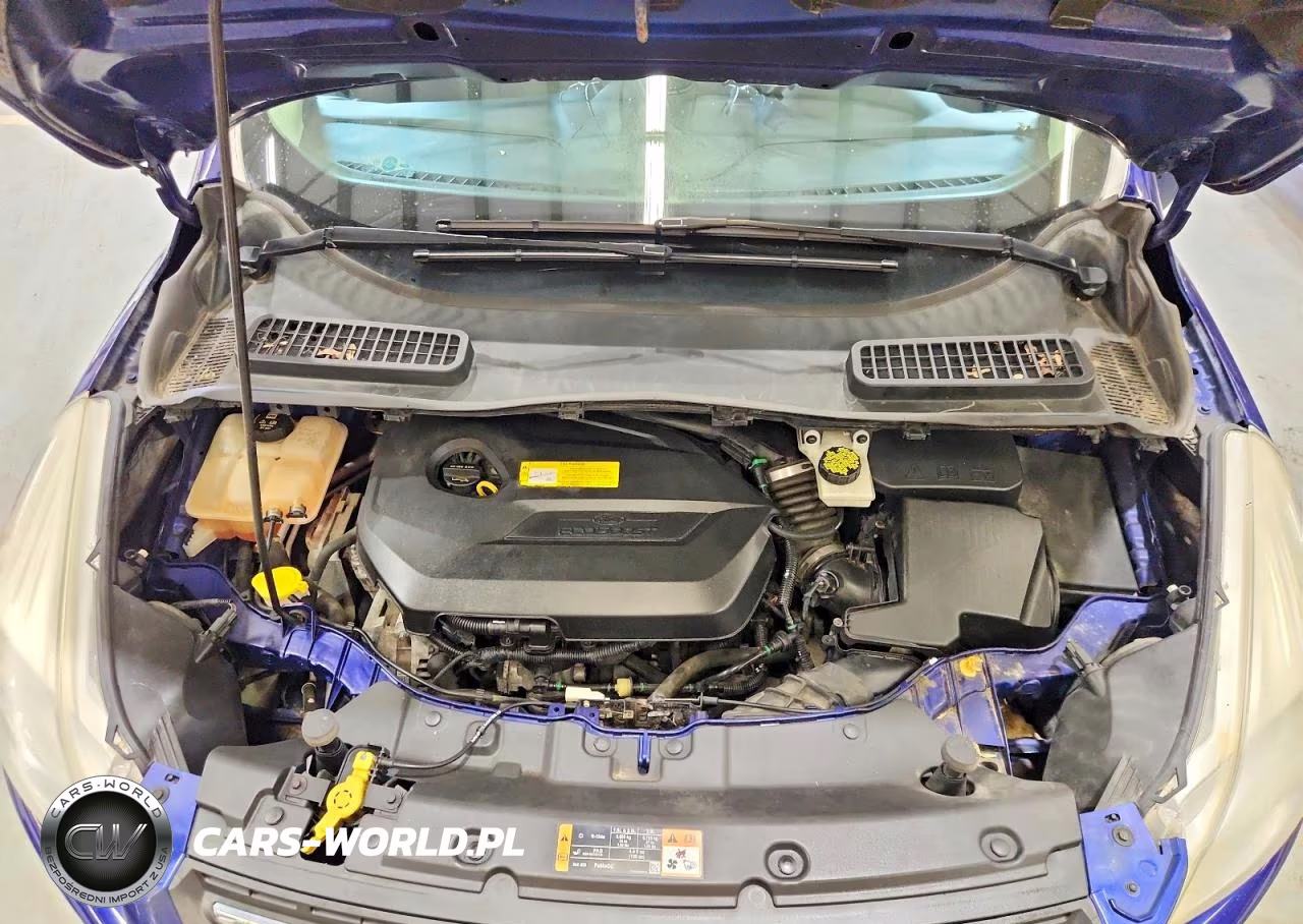 2015 Ford Escape Se VIN:1FMCU9GX4FUC58706 - 12