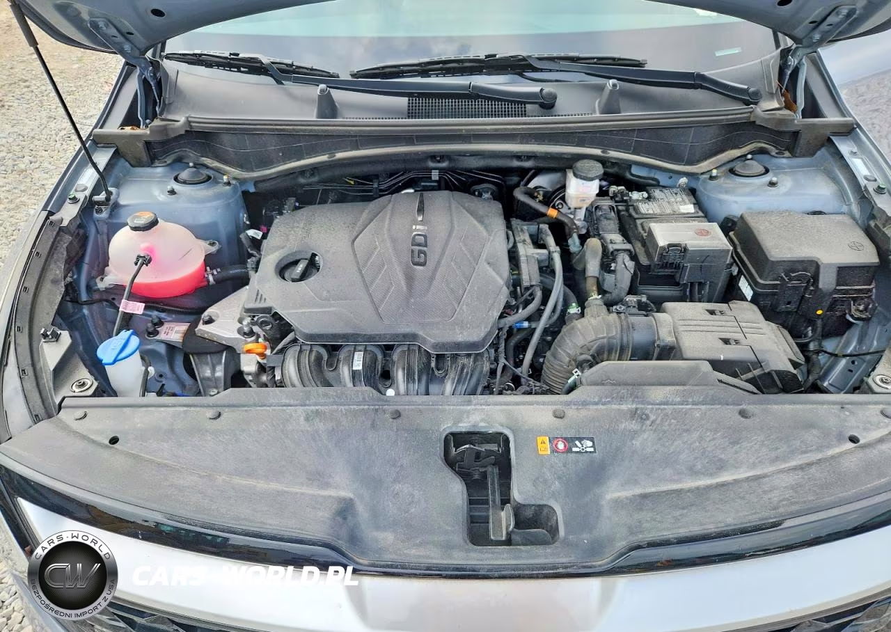 2025 Kia Sportage Ex VIN:5XYK3CDFXSG311352 - 12