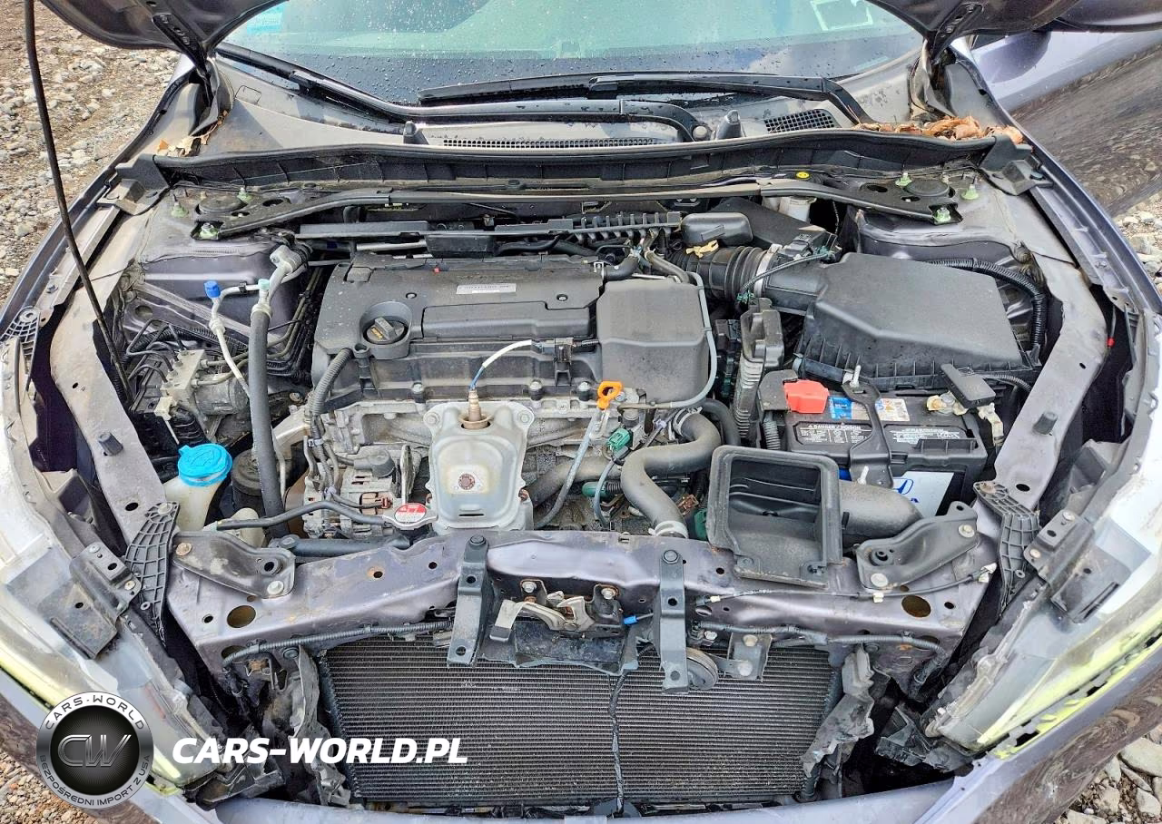 2017 Honda Accord Sport Special Edition VIN:1HGCR2F11HA262406 - 11