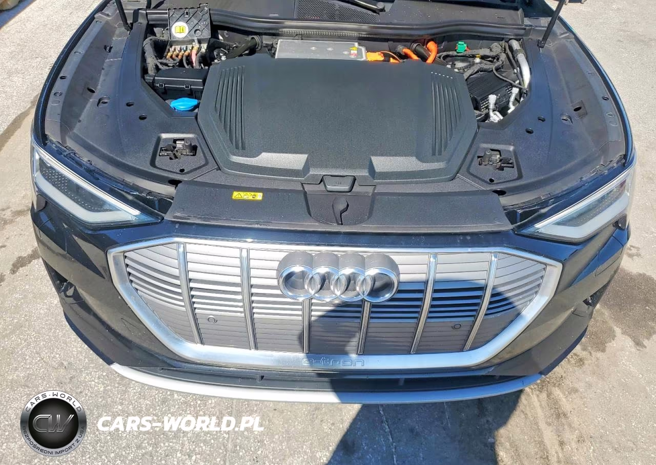2019 Audi E-Tron Prestige VIN:WA1VAAGE0KB021989 - 12