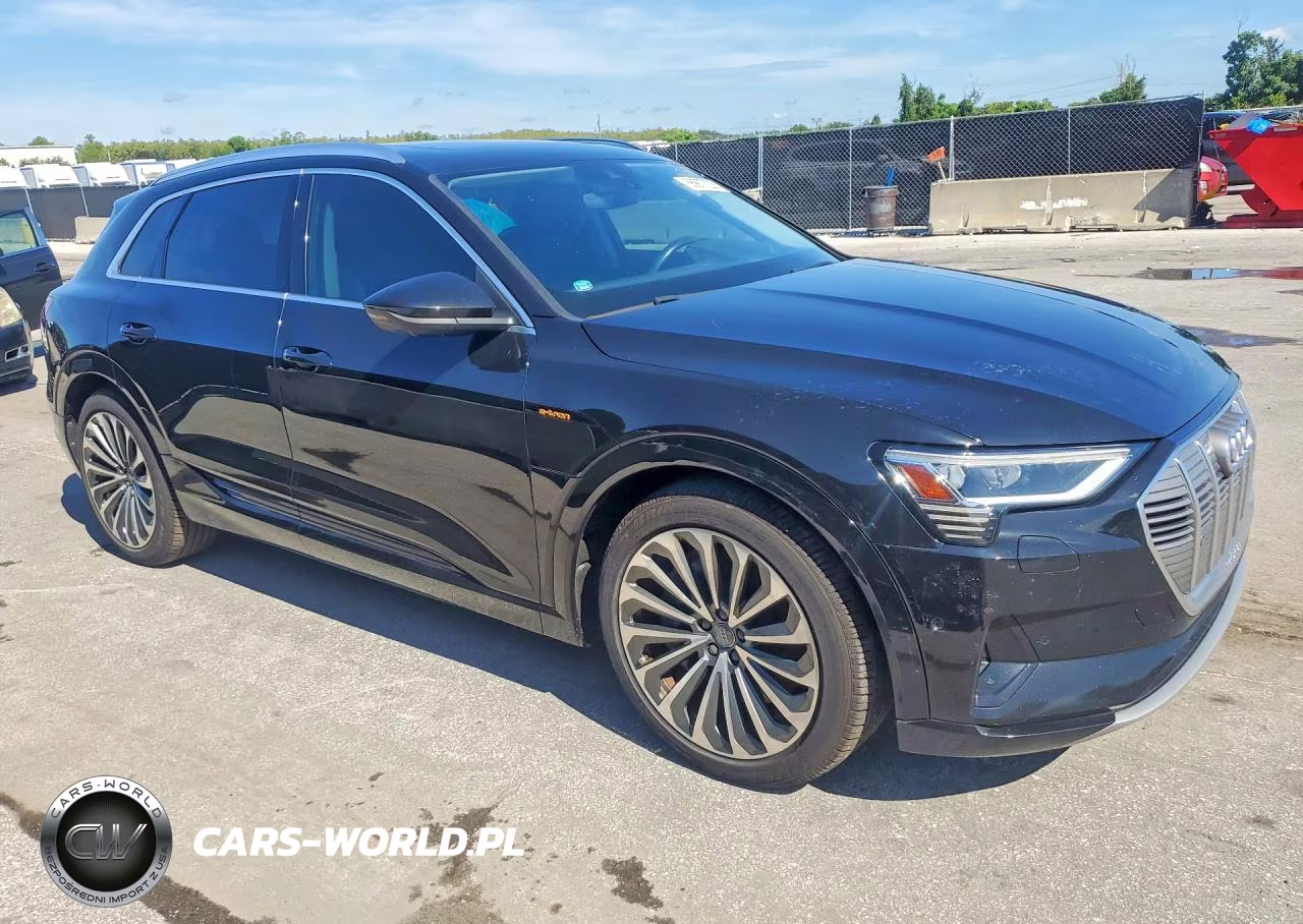 2019 Audi E-Tron Prestige VIN:WA1VAAGE0KB021989 - 4