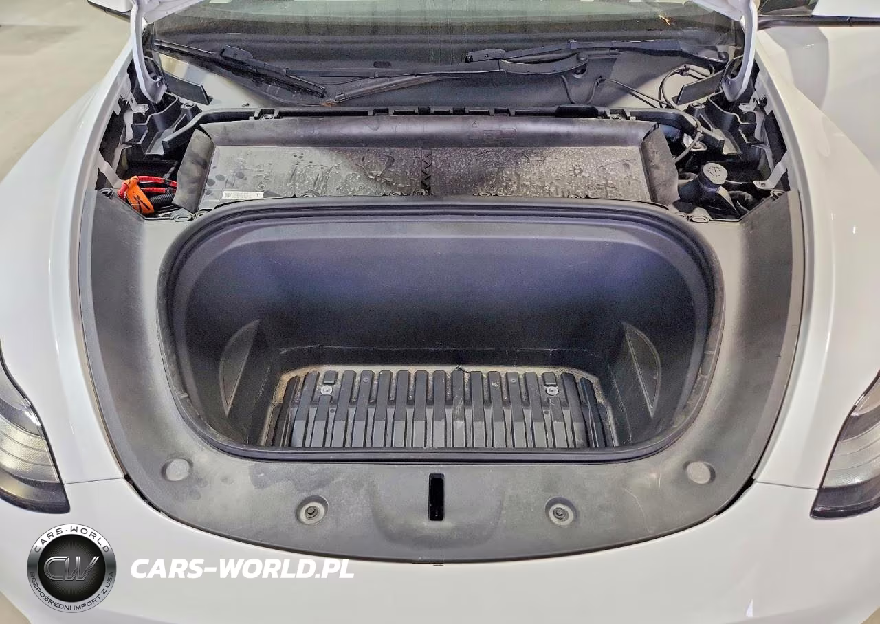 2023 Tesla Model Y VIN:7SAYGDEE9PF619558 - 12