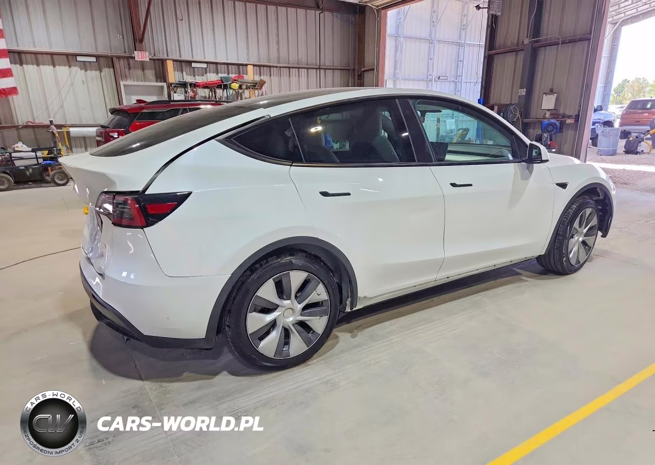 2023 Tesla Model Y VIN:7SAYGDEE9PF619558 - 3