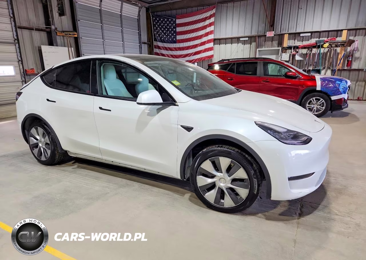 2023 Tesla Model Y VIN:7SAYGDEE9PF619558 - 4