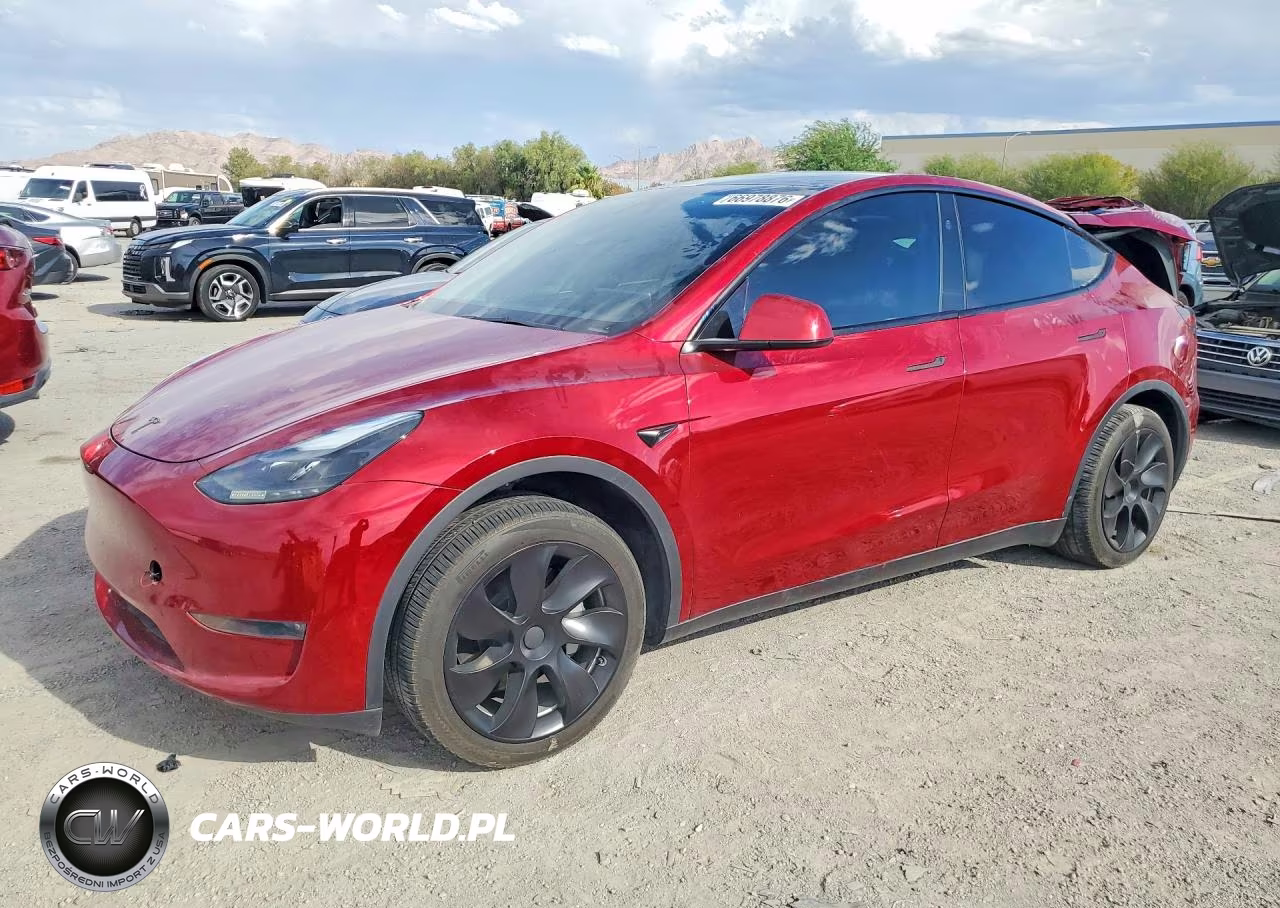2024 Tesla Model Y