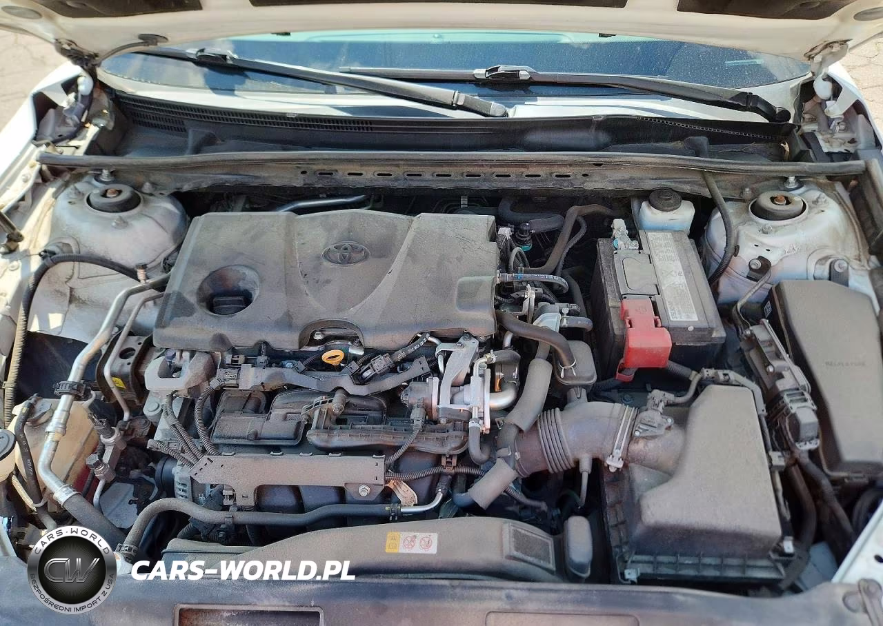 2019 Toyota Camry Xle VIN:4T1B11HK2KU813624 - 11
