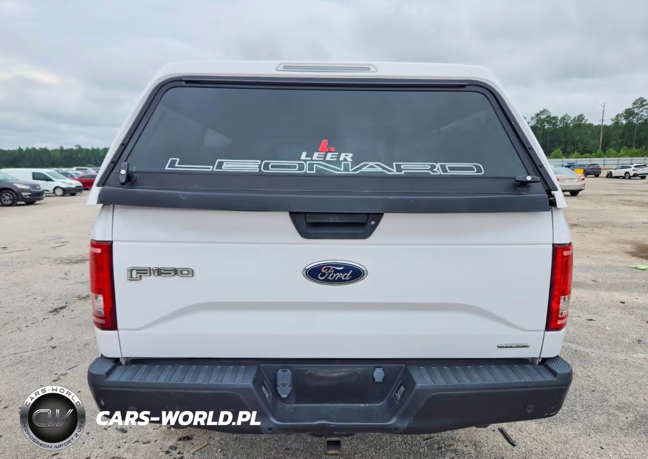 2016 Ford F150 VIN:1FTMF1C85GKE06975 - 6