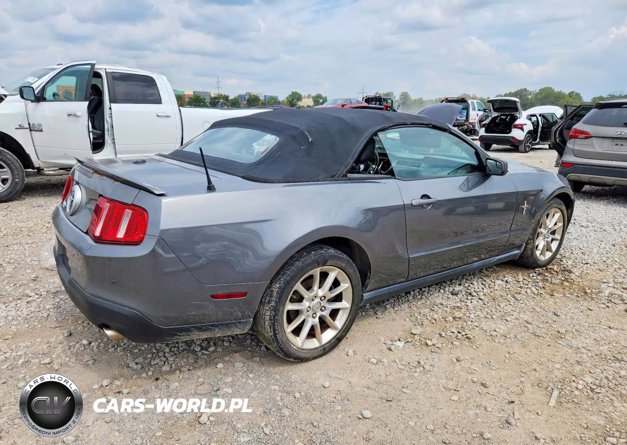 2010 Ford Mustang VIN:1ZVBP8EN3A5165307 - 3
