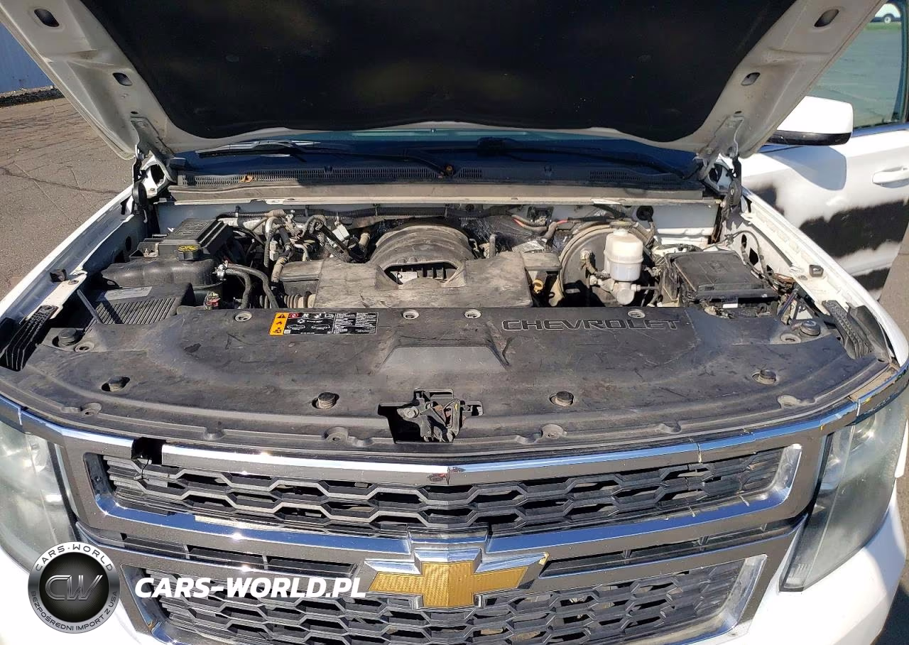 2018 Chevrolet Tahoe Police VIN:1GNLCDEC3JR262968 - 11