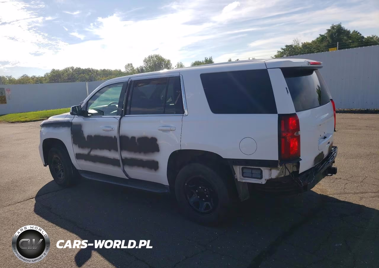 2018 Chevrolet Tahoe Police VIN:1GNLCDEC3JR262968 - 2