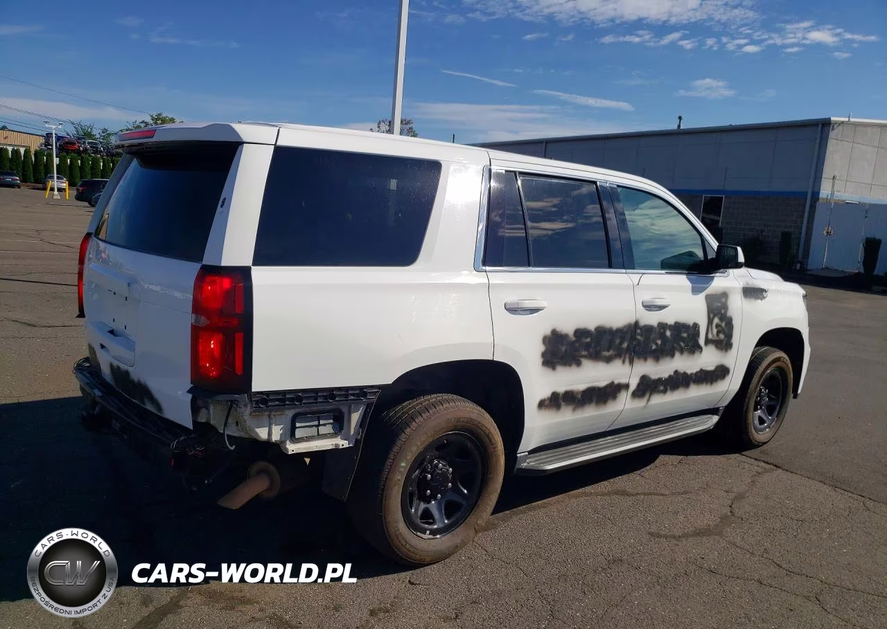 2018 Chevrolet Tahoe Police VIN:1GNLCDEC3JR262968 - 3