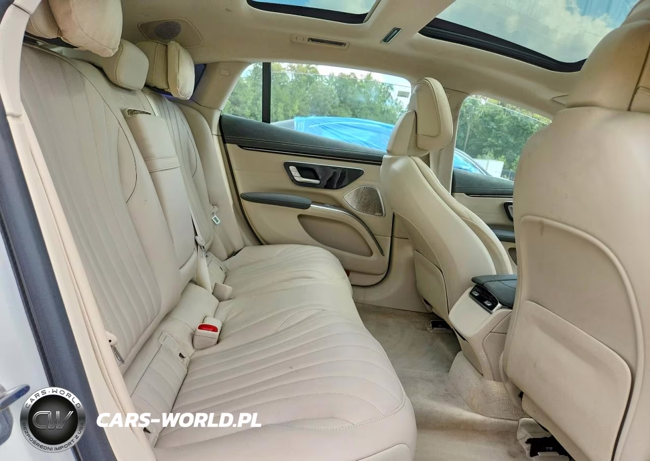 2023 Mercedes-Benz Eqs Sedan 450+ VIN:W1KCG2DB5PA035627 - 10