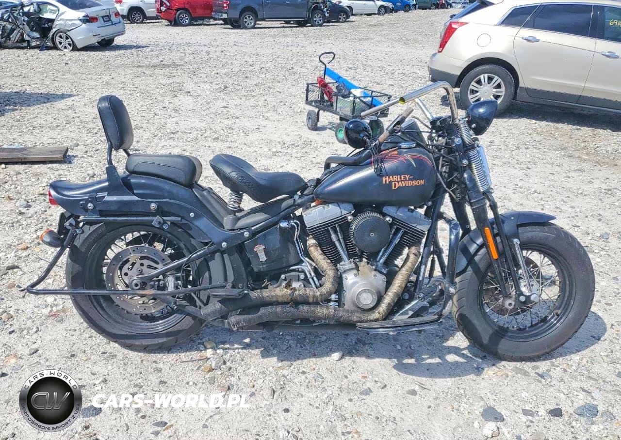2008 Harley-Davidson Flstsb – zdjęcie 1 z 8