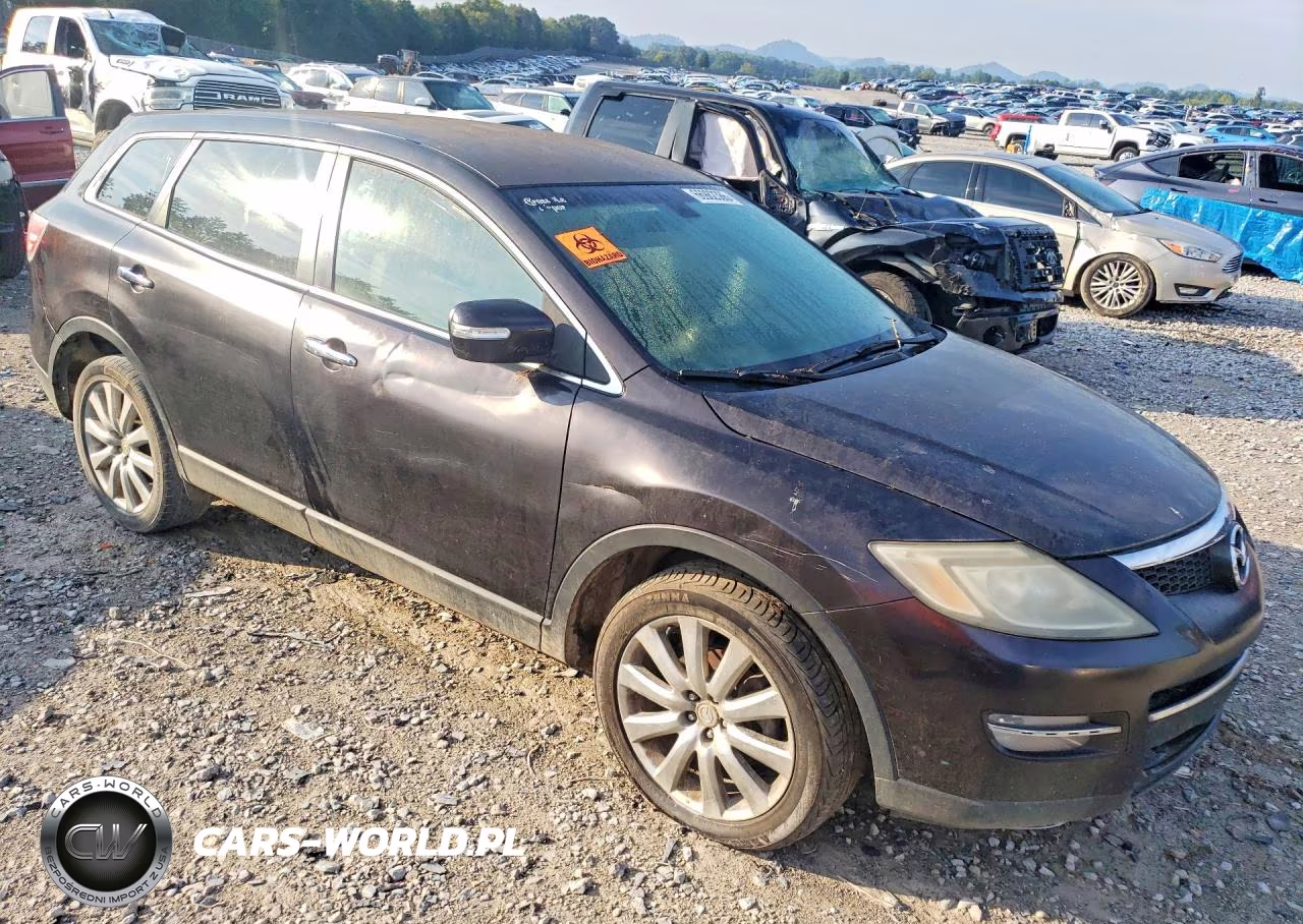 2009 Mazda Cx-9 VIN:JM3TB28A390168087 - 4