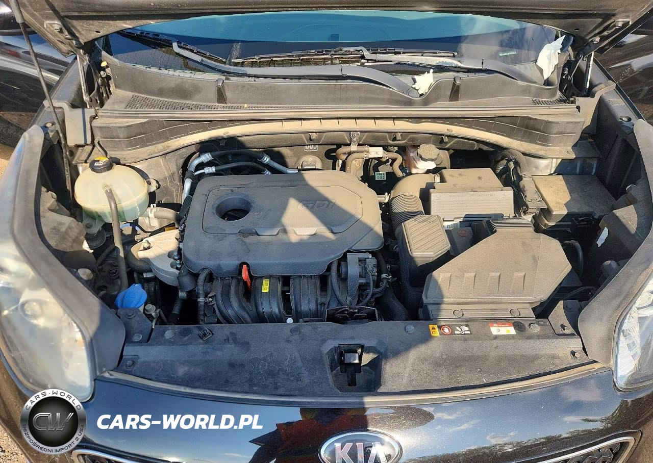 2019 Kia Sportage Lx VIN:KNDPMCAC7K7623574 - 12