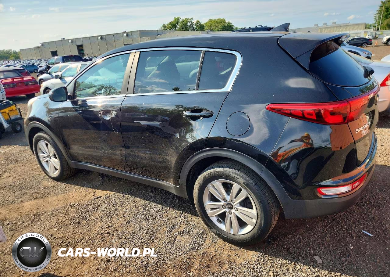 2019 Kia Sportage Lx VIN:KNDPMCAC7K7623574 - 2