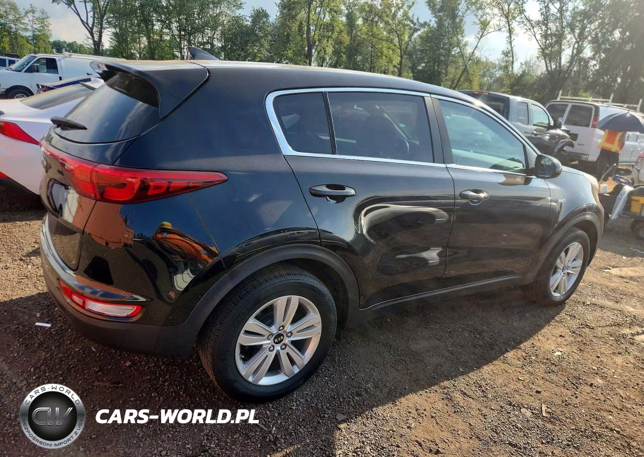 2019 Kia Sportage Lx VIN:KNDPMCAC7K7623574 - 3