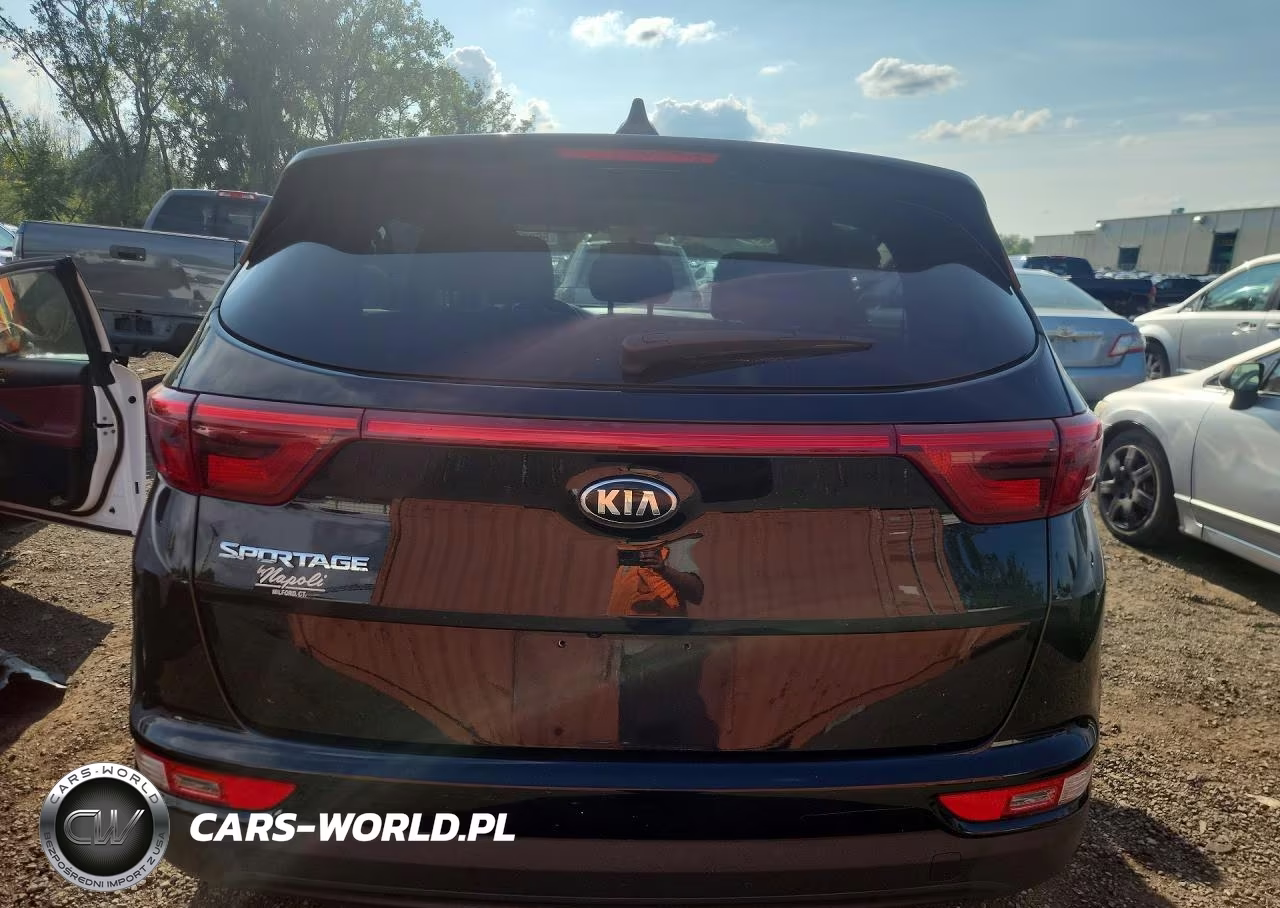 2019 Kia Sportage Lx VIN:KNDPMCAC7K7623574 - 6
