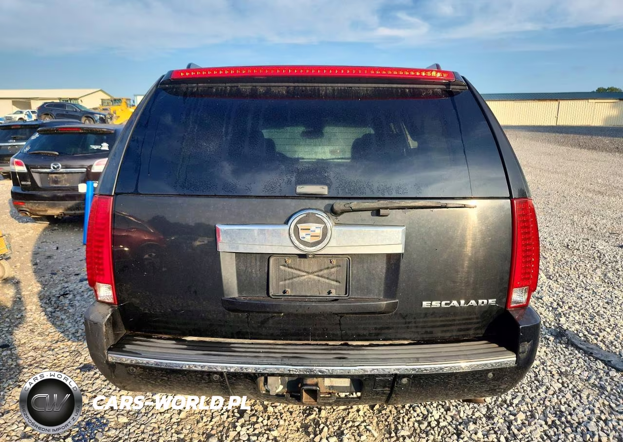 2008 Cadillac Escalade Luxury VIN:1GYFK63818R142285 - 6