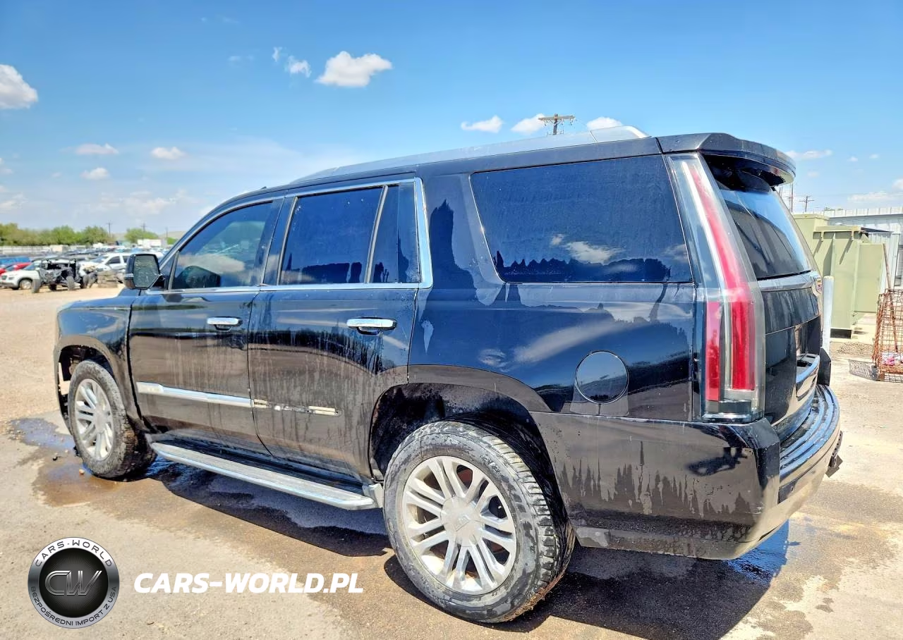 2016 Cadillac Escalade Luxury VIN:1GYS4BKJ0GR126938 - 2