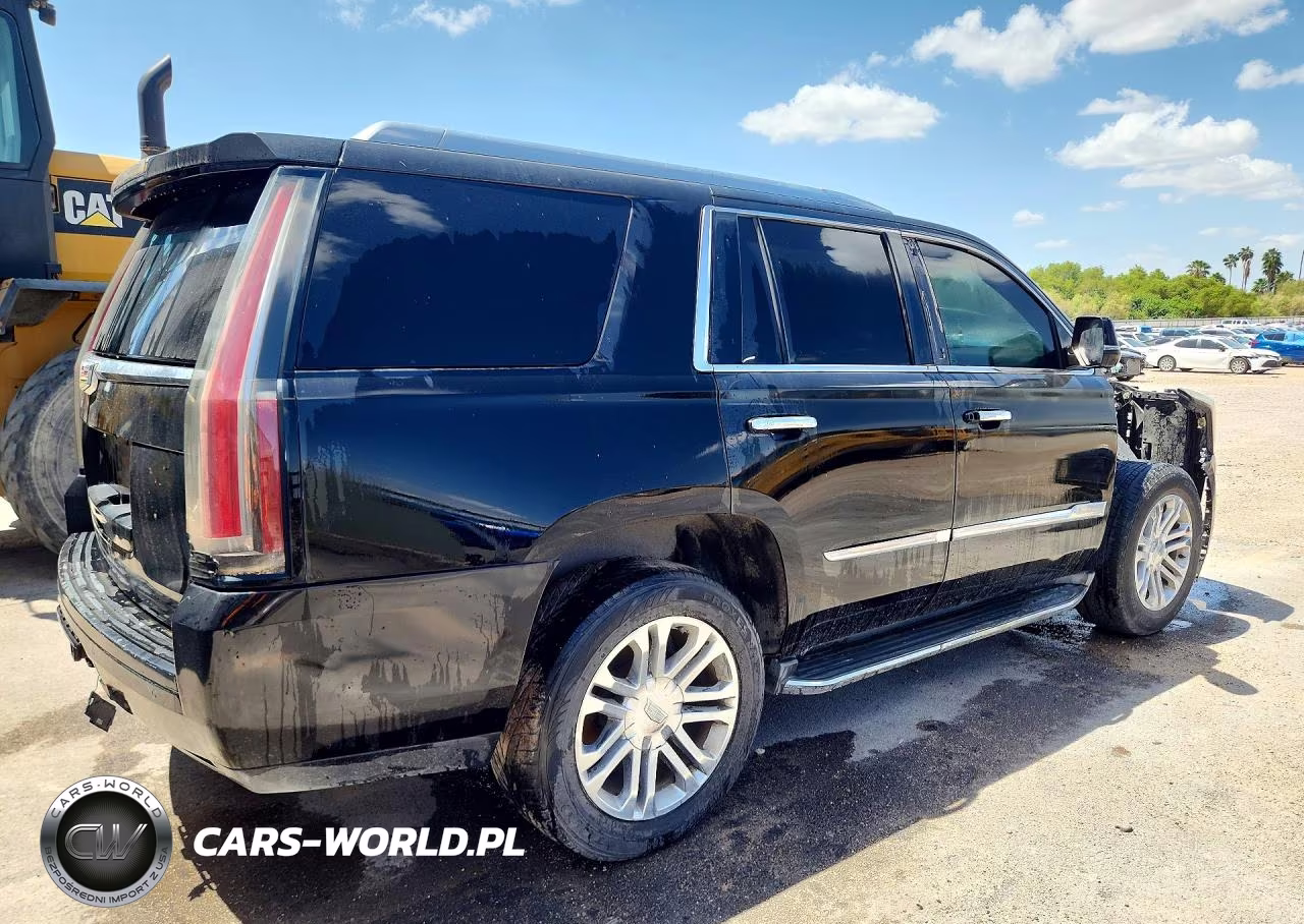 2016 Cadillac Escalade Luxury VIN:1GYS4BKJ0GR126938 - 3