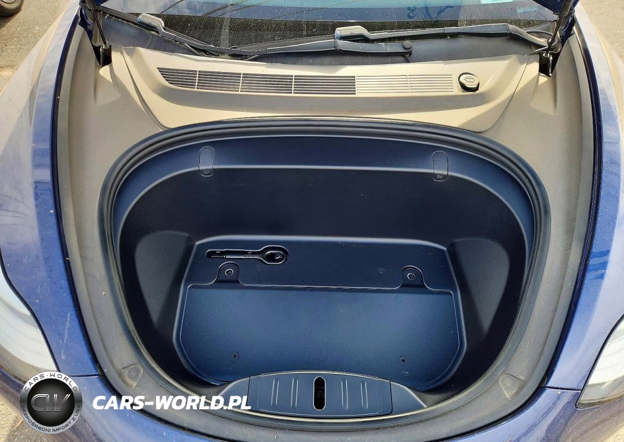 2019 Tesla Model 3 VIN:5YJ3E1EA5KF411663 - 11