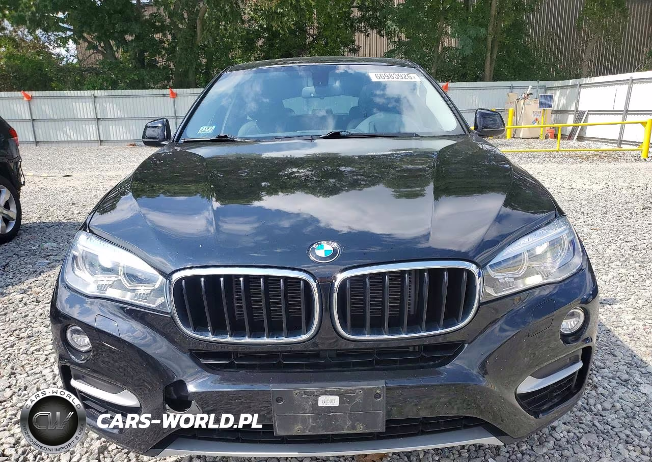 2016 BMW X6 xDrive35I VIN:5UXKU2C53G0N80806 - 5