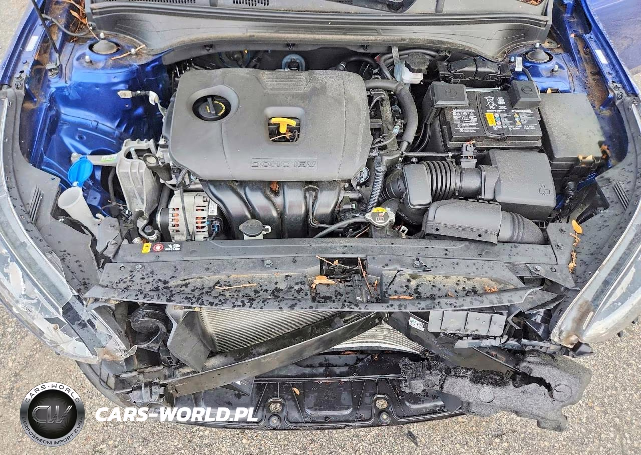 2021 Kia Forte Fe, Lxs VIN:3KPF24ADXME387666 - 11