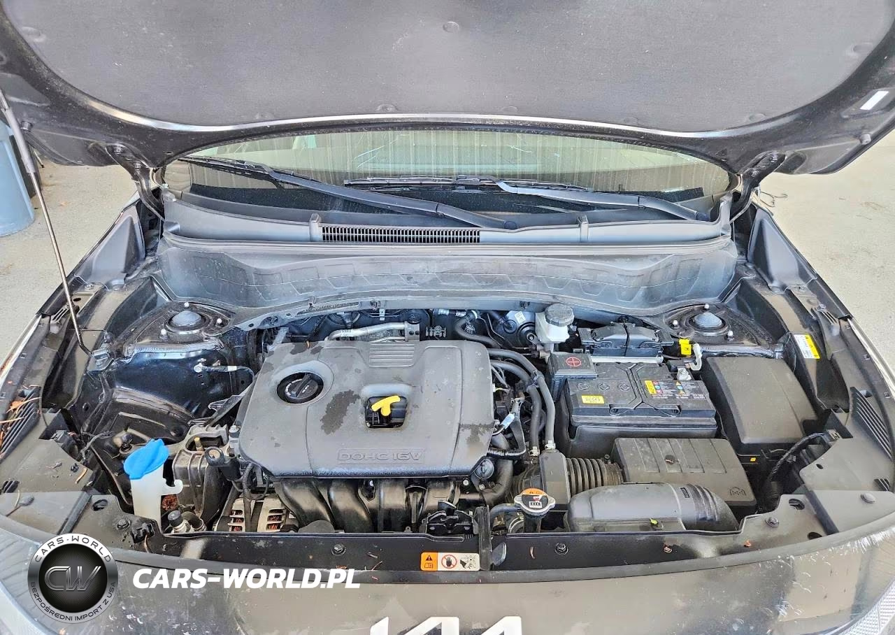 2025 Kia Seltos Lx VIN:KNDEPCAAXS7770971 - 12