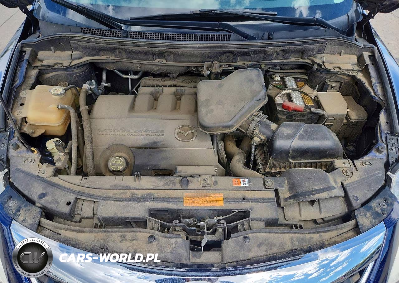2010 Mazda Cx-9 VIN:JM3TB2MAXA0232555 - 12