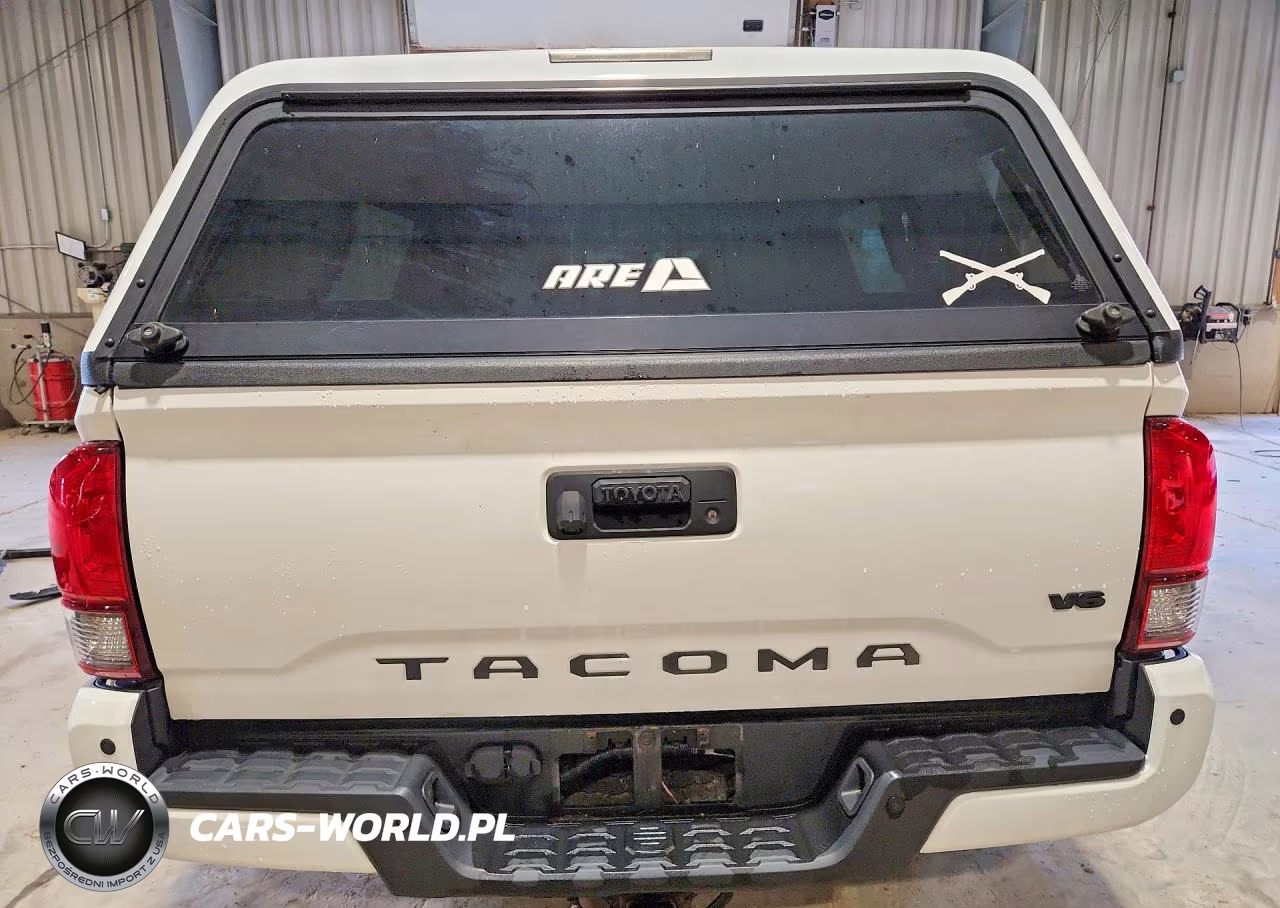 2019 Toyota Tacoma Trd Off-Road VIN:3TMDZ5BN0KM065430 - 6