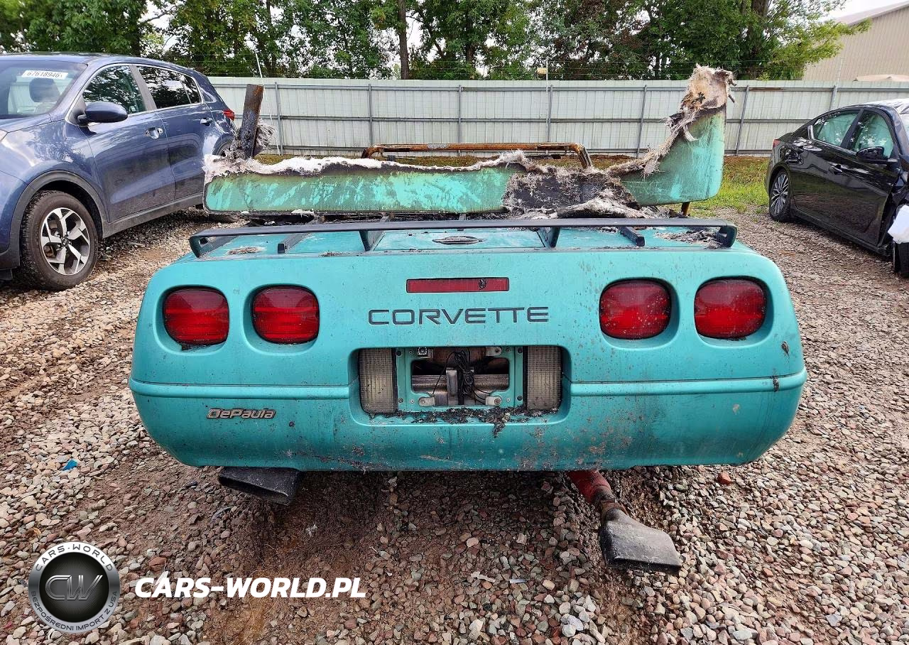 1991 Chevrolet Corvette VIN:1G1YY3388M5113369 - 6