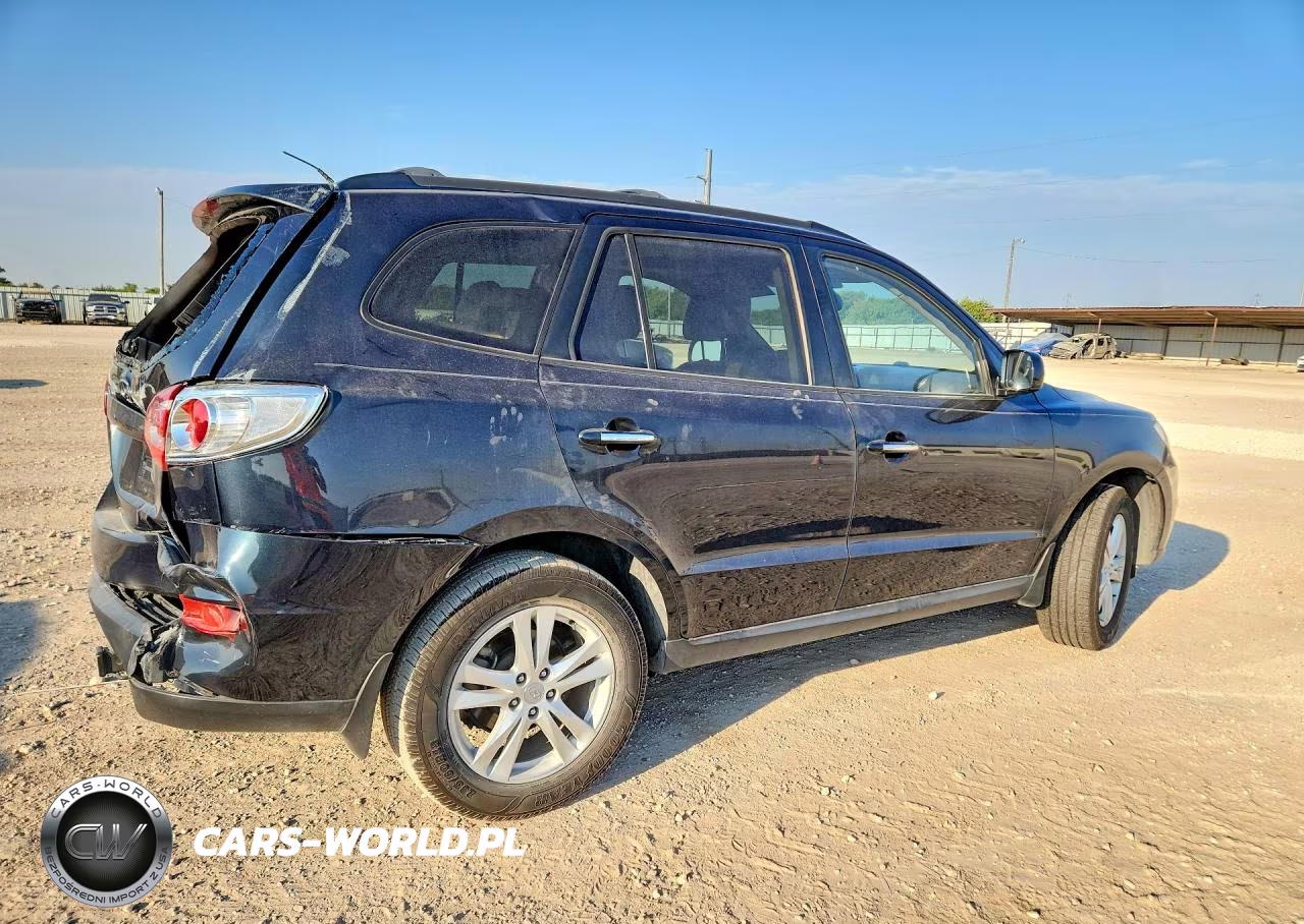 2010 Hyundai Santa Fe Limited VIN:5NMSK4AG5AH375454 - 3