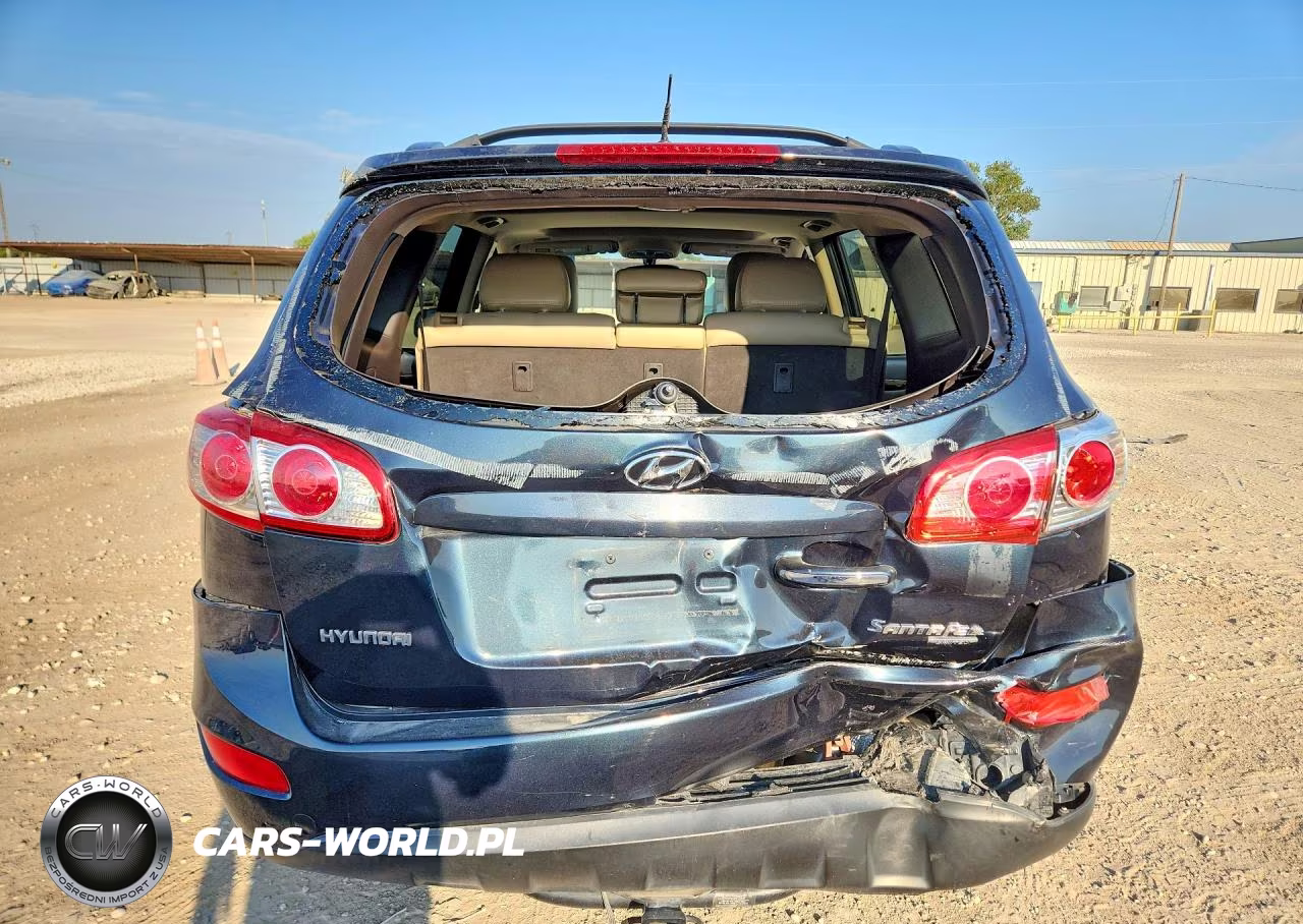 2010 Hyundai Santa Fe Limited VIN:5NMSK4AG5AH375454 - 6